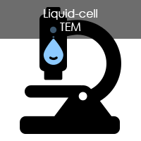 lc-tem icon