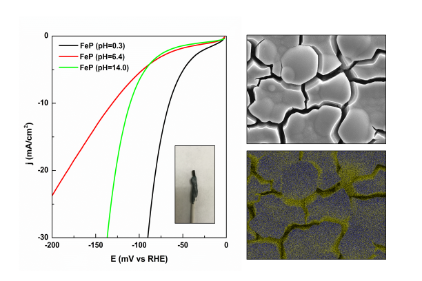 zhipeng iron phosphide film HER